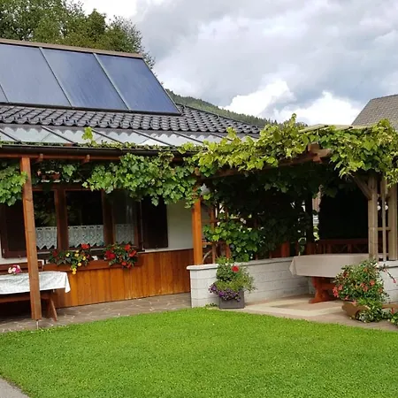 Апартаменты Haus Obermoser Dellach im Drautal