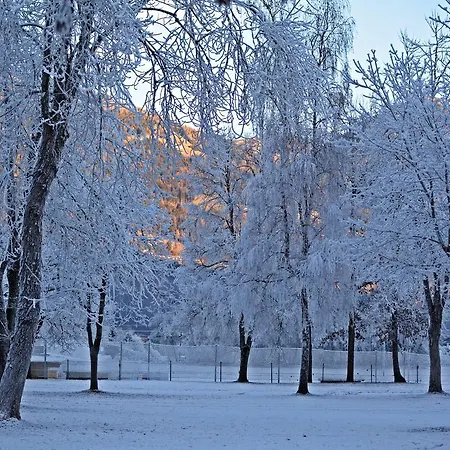 Daire Haus Obermoser