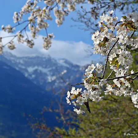 Apartman Haus Obermoser