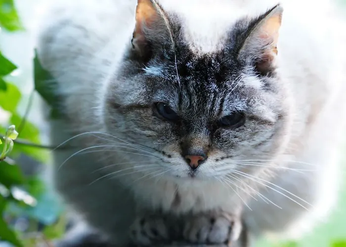 דירה Haus Obermoser